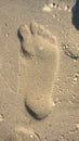 Single bare foot imprint in beach sand Royalty Free Stock Photo