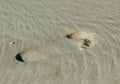 A single bare footprint in fine golden sand. Royalty Free Stock Photo