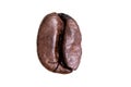 Single bean of coffee macro close up detail shot isolated against white background Royalty Free Stock Photo