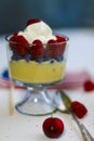 A Single Beautiful Glass of Tapioca Pudding with blueberries and Raspberries with a Bright Cherry in Whipped Cream..