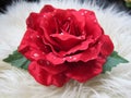Beautiful pretty red rose flower hair clip Royalty Free Stock Photo