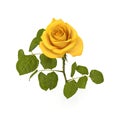 Single beautiful yellow rose isolated on white. 3D illustration Royalty Free Stock Photo