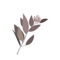 Single beige branch with leaves and bud. Flat style design element.