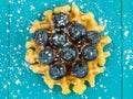 Single Belgian Butter Waffle With Fresh Blueberries Royalty Free Stock Photo