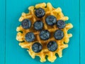 Single Belgian Butter Waffle With Fresh Blueberries Royalty Free Stock Photo