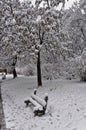 A single bench amongst and snow covered park Royalty Free Stock Photo