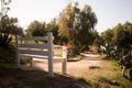 Lonely Bench at Park Royalty Free Stock Photo