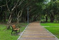 Single bench in a park Royalty Free Stock Photo
