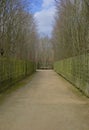 Single bench in Versailles gardens, France, 2020 Royalty Free Stock Photo