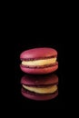 Single berry macaroon with yellow filling on black background Royalty Free Stock Photo