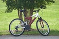 Single Bike Parked By Tree