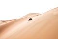 A single black car scaling giant dunes in the Empty Quarter desert. Royalty Free Stock Photo