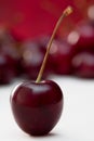 Single black cherry Royalty Free Stock Photo