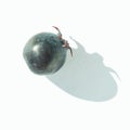 Single black currant berry with stem and shadow on white background Royalty Free Stock Photo