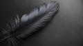 A single black feather lies on a dark surface, creating a minimalist and elegant design Royalty Free Stock Photo