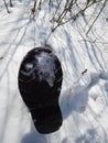 Single black galoshe in the snow