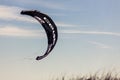 A single black kite flies