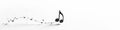 Single black musical note, stark white background, musical, clean, clef Royalty Free Stock Photo