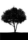 Single black tree on white background