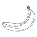 Single black and white banana close-up illustration on a white background. Royalty Free Stock Photo