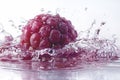 A single blackberry falls into the water, a splash of water Royalty Free Stock Photo