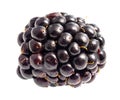 single blackberry fruit cutout on white Royalty Free Stock Photo