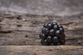 Single blackberry on wood Royalty Free Stock Photo