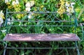 Single blank old bench in flowers garden of park background