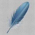 Single Blue Feather on Checkered Background Royalty Free Stock Photo