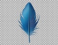 Single Blue Feather on Checkered Background Royalty Free Stock Photo