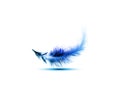 Single blue feather vector isolated on white background. Levitation plume, lightness concept icon Royalty Free Stock Photo