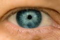 Single blue female eye, close up