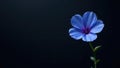 A single blue flower against a dark background, a study in contrast and elegance. Generative AI Royalty Free Stock Photo