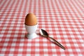 Single boiled egg with spoon