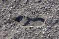 Single boot footstep inprinted in sand Royalty Free Stock Photo