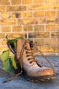 A boot at frosty temperatures with green leaves