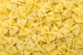 Single bow tie pasta. Royalty Free Stock Photo