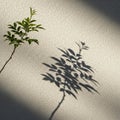 A single branch with green leaves casts a sharp shadow on a textured, light-colored wall. The wall Royalty Free Stock Photo