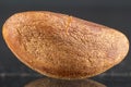 A single brazil nut on a dark gray background with reflection, extreme close range, detailed walnut skin texture