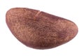 Single brazil nut isolated on white background, extreme close range, detailed walnut skin texture