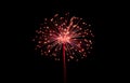 Single bright glowing red firework explosion in dark night sky Royalty Free Stock Photo