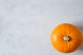 Single Bright Orange Pumpkin on Grey Stone Background. Autumn Fall Thanksgiving Harvest.