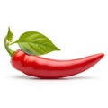 Vibrant red chili pepper with fresh green leaf isolated on white white background Royalty Free Stock Photo