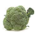 Single broccoli Royalty Free Stock Photo