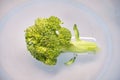 A Single Broccoli In A Blue Transparent Bowl Royalty Free Stock Photo