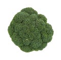 Single broccoli head Royalty Free Stock Photo