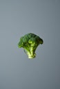 Single broccoli head is floating in the air Royalty Free Stock Photo