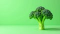 Single broccoli head, lush green, sits on light green surface, organic, spring, vibrant Royalty Free Stock Photo