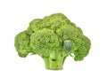 Single broccoli isolated on white background.