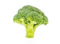 Single Broccoli with white background